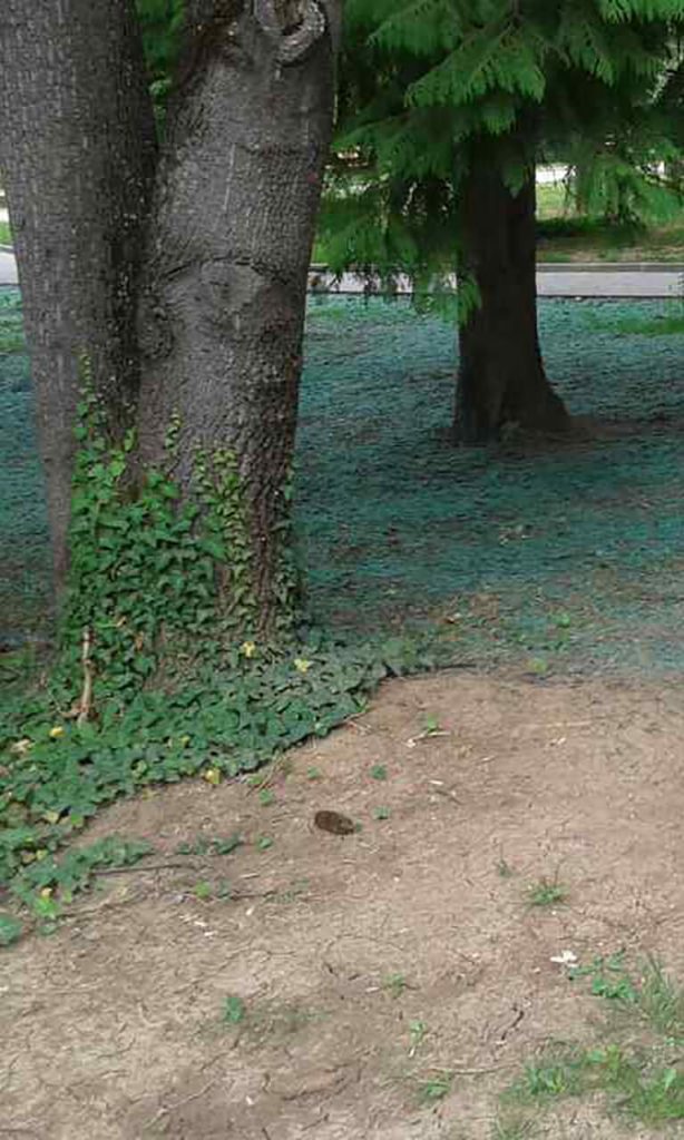 Хвостохранилища