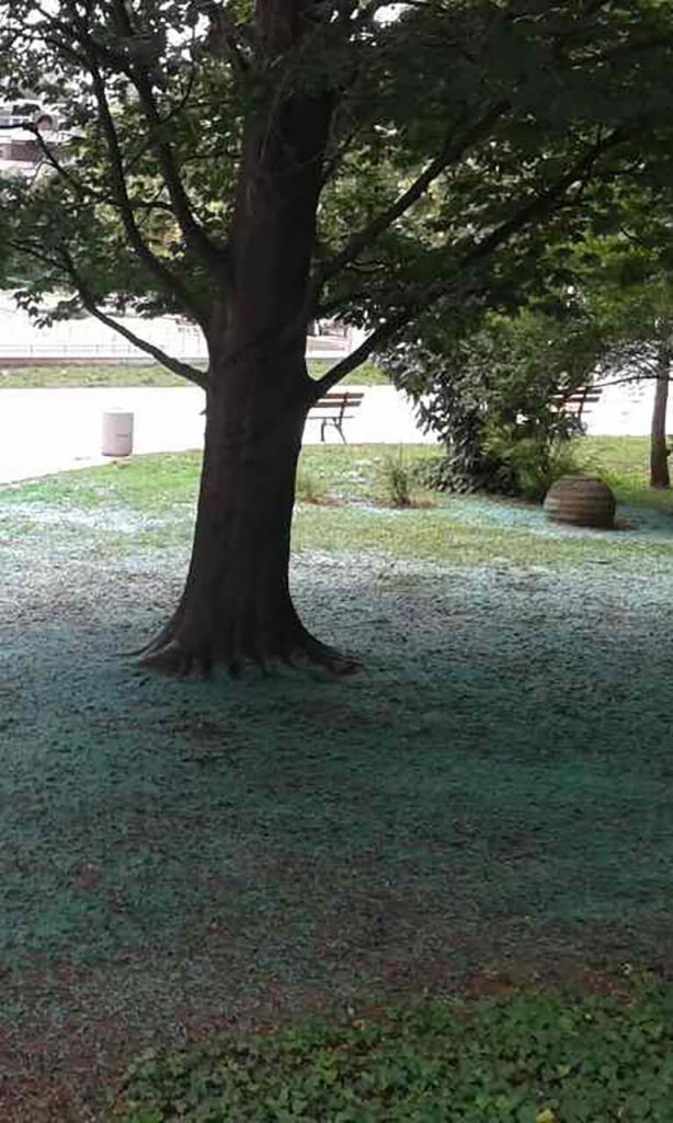 Селско стопанство